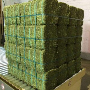 Alfalfa Hay