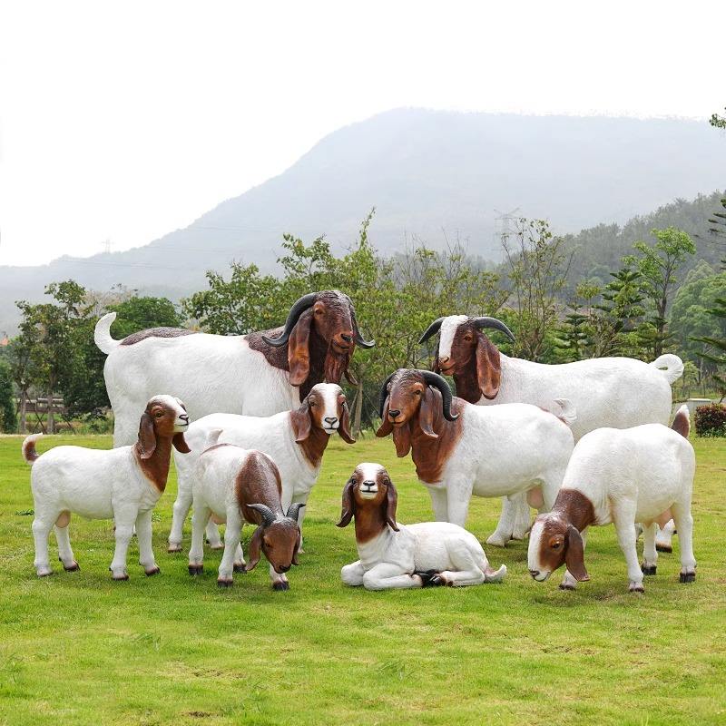 Boer Goats