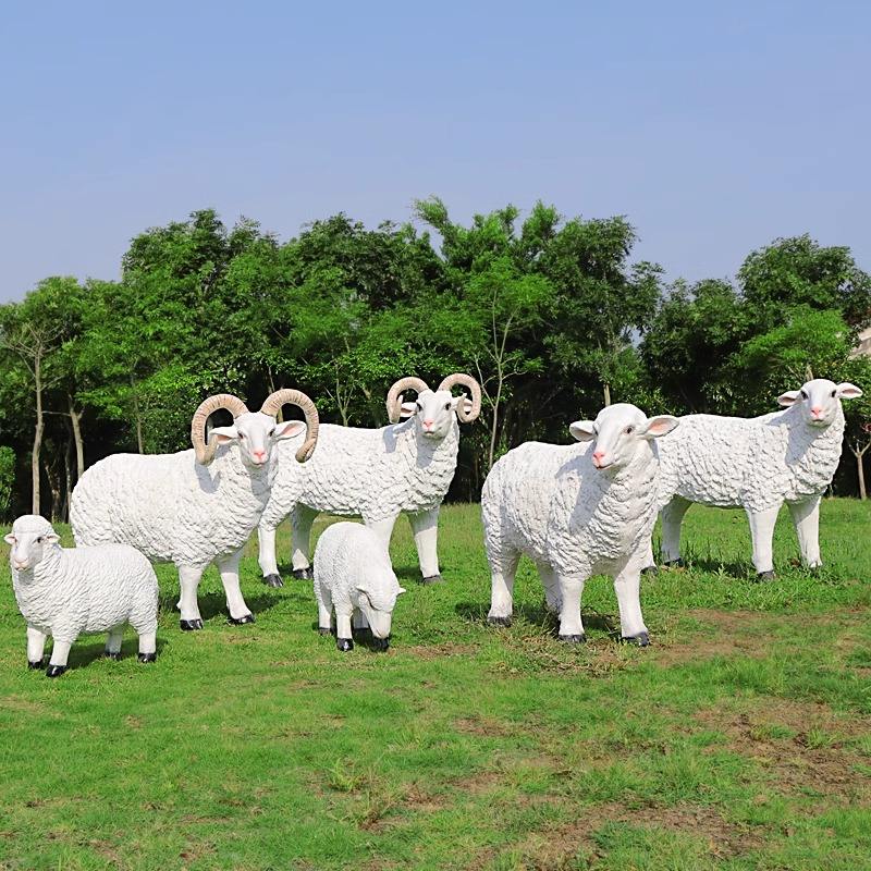 Boer Goats - Image 6