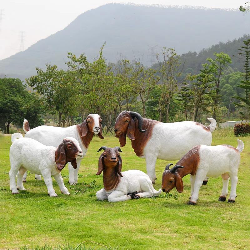 Boer Goats - Image 2