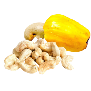 Cashew Nuts