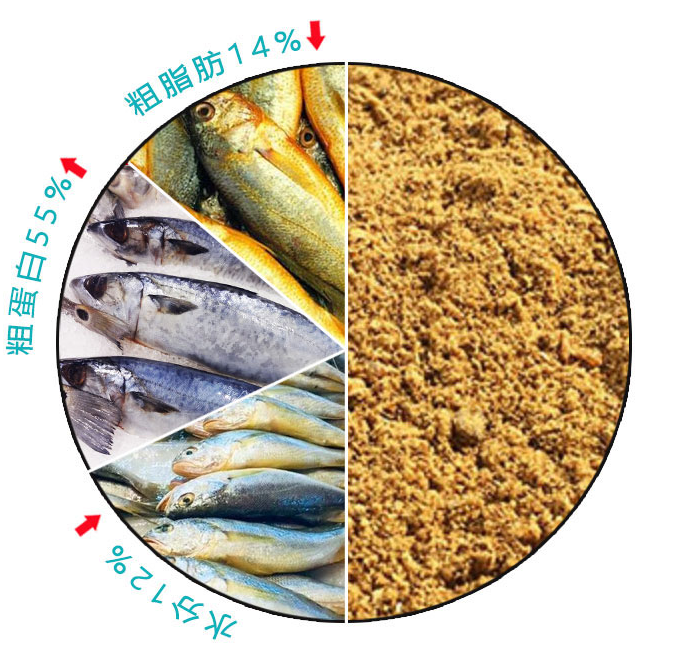 Fish Meal - Image 6