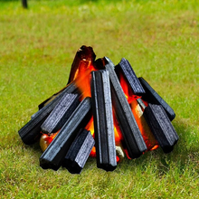 BIOMASS & ENERGY PRODUCTS