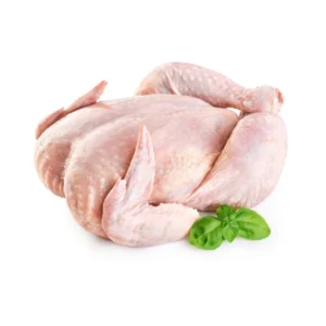 Frozen Chicken