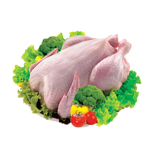 Frozen Chicken - Image 3