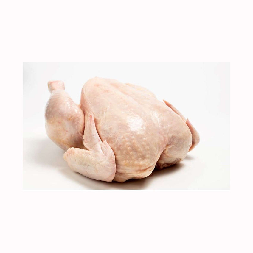 Frozen Chicken - Image 9