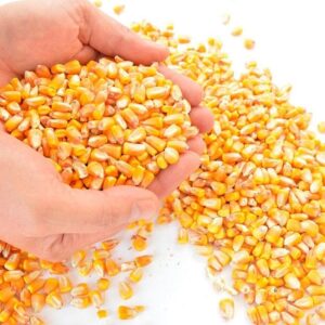 AGRICULTURAL COMMODITIES